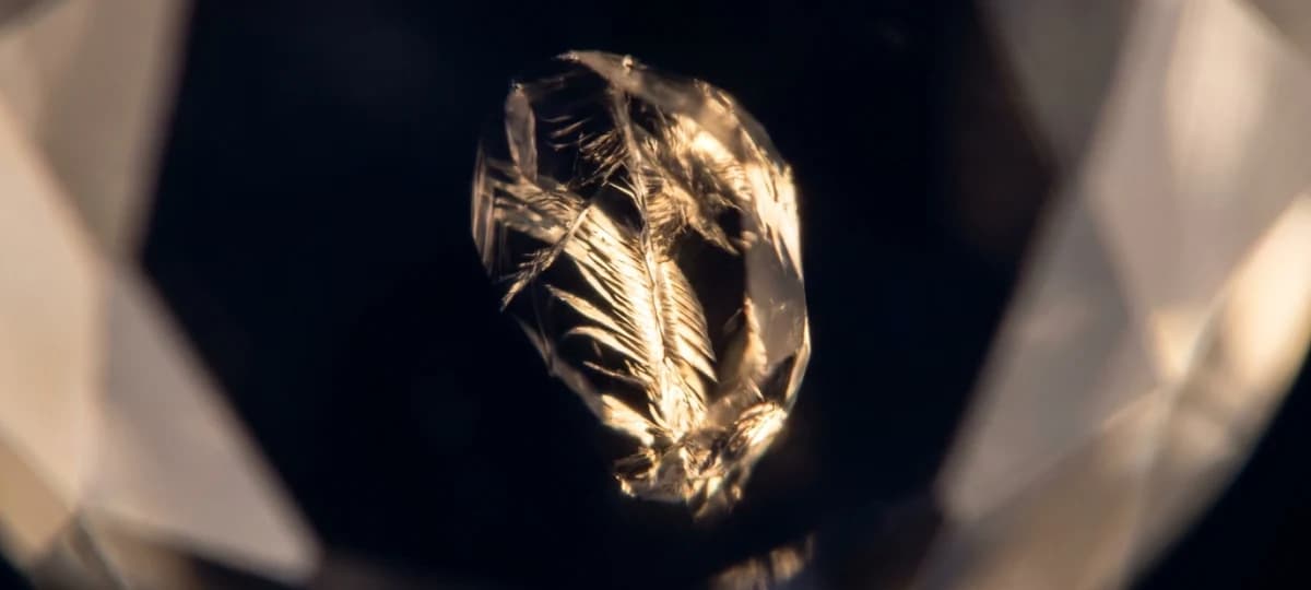 A feather inclusion inside a diamond seen at high magnification, lit against the dark of the pavilion.